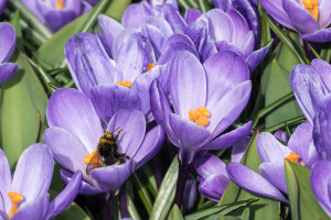 当年的黄金一代,如今能否再次捧起世界杯冠军奖杯 当年的黄金一代,如今能否再次捧起世界杯冠军奖杯