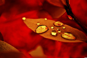 从洛杉矶到纽约!2026世界杯,美国东海岸的热血沸腾! 从洛杉矶到纽约!2026世界杯,美国东海岸的热血沸腾!