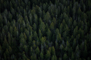 原来巨星也有“烦恼”！本泽马世界杯期间的这番话，惹人深思！