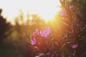 凯恩状态火热，能否带领英格兰打破大赛冠军荒